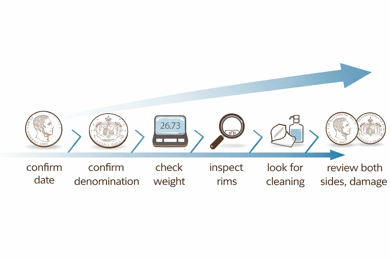 1883 Hawaii dollar identification checklist infographic.